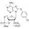8-(4-CHLOROPHENYLTHIO)-2'-O-METHYLADENOSINE 3',5'-CYCLIC MONOPHOSPHATE MONOSODIUM HYDRATE