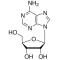 ADENOSINE BIOREAGENT, SUITABLE FOR CELL CULTURE