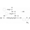 N-CBZ-PHE-ARG 7-AMIDO-4-METHYLCOUMARINHY DROCHLORID