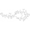 SARAFOTOXIN S6C