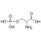 O-PHOSPHO-DL-SERINE >= 98.0% (NT)