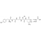 LEUCINE ENKEPHALIN SYNTHETIC ACETATE