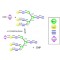 CYTIDINE 5'-MONOPHOSPHO-N-ACETYLNEURAMIN IC ACID SO