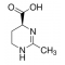 ECTOINE