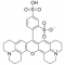 SULFORHODAMINE 101