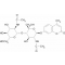 4-METHYLUMBELLIFERYL B-D-N,N'-*DIACETYLC HITOBIOSIDE