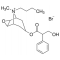 (-)SCOPOLAMINE N-BUTYL BROMIDE