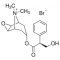 (-)SCOPOLAMINE METHYL BROMIDE