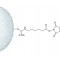 N-HYDROXYSUCCINIMIDE-ACTIVATED*SEPHAROSE  4 FAST FLO