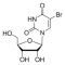 (-)-5-BROMOURIDINE, 98%