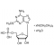 2-METHYLTHIOADENOSINE 5'-MONOPHOSPHATE