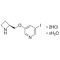 5-IODO-A-85380 DIHYDROCHLORIDE HYDRATE