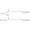 DIOLEIN (C18:1,(CIS)-9)