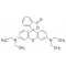 RHODAMINE B BASE