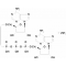 P1,P3-DI(ADENOSINE-5')TRIPHOSPHATEAMMONI UM