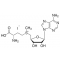 S-ADENOSYL-L-METHIONINE IODIDE