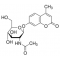 4-METHYLUMBELLIFERYL-N-ACETYL-B-D-*GLUCO SAMINIDE CR