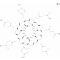 SUCCINYL-B-CYCLODEXTRIN
