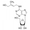 ZEATIN RIBOSIDE TRANS ISOMER