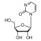 ZEBULARINE