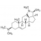 CONESSINE