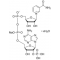 B-NICOTINAMIDE ADENINE DINUCLEOTIDE*PHOS PHATE SODIU