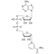 B-NICOTINAMIDE ADENINE DINUCLEOTIDE*SODI UM APPROX.