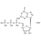 GUANOSINE-13C10 5'-TRIPHOSPHATE, SODIU&