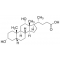 DEOXYCHOLIC ACID FREE ACID