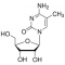 5-METHYLCYTIDINE