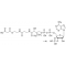 MALONYL COENZYME A LITHIUM