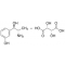 METARAMINOL BITARTRATE