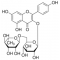 Kaempferol 3-O--rutinoside
