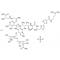 BLEOMYCIN SULFATE
