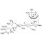 Monensin sodium salt,