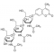 4-METHYLUMBELLIFERYL B-D-N,N',N''-*TRIAC ETYLCHITOTR