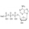 2''-DEOXYADENOSINE 5''-TRIPHOSPHATE*SODI