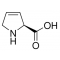 3,4-DEHYDRO-L-PROLINE