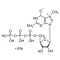 7-METHYLGUANOSINE 5'-TRIPHOSPHATE*SODIUM  APPROX. 90