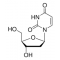 2'-DEOXYURIDINE 99-100%