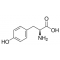 L-TYROSINE BIOULTRA, >= 99.0% (NT)