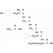 (MET5)ENKEPHALIN ACETATE SALT HYDRATE