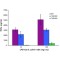 LIPOPOLYSACCHARIDE FROM ESCHERICHIA*COLI  SEROTYPE 0