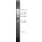 LAMBDA DNA HIND III DIGEST, FOR DNA ELE&