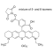 ATTO 565 NHS ESTER BIOREAGENT, SUITABLE FOR FLUORESCENCE, >= 70.0% (COUPLING TO AMINES)