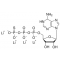 ADENOSINE 5'-O-(3-THIOTRIPHOSPHATE)TETRA LITHIUM