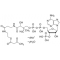 ACETOACETYL COENZYME A SODIUM