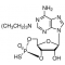 RP-ADENOSINE 3',5'-CYCLIC MONOPHOSPHOROT