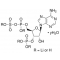 ADENOSINE 3'-PHOSPHATE 5'-PHOSPHOSULFATE  LITHIUM