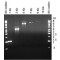 JUMPSTART TAQ DNA POLYMERASE WITHOUTMAGN